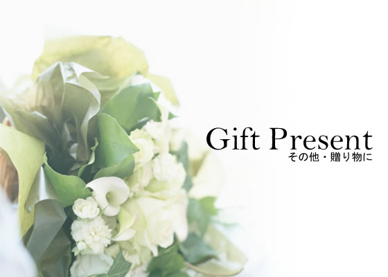 Gift & Present- եȡץ쥼 -