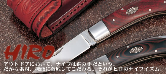 �ҥ��ʥ��ա��ȣɣң�