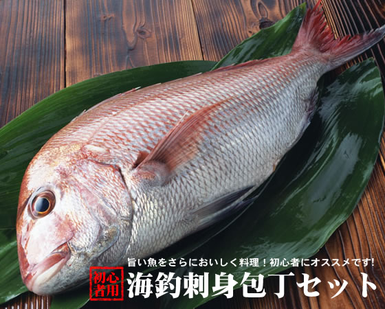 ����ڽ鿴�ԡۻɿ��������åȡʽ鿴�ԡ����ƻ���