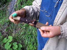 �ҥ�δ�����