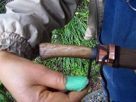 �ҥ�δ�����