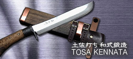 TOSAKENNATA