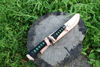 �ں��ݿ������� ������ ����ή