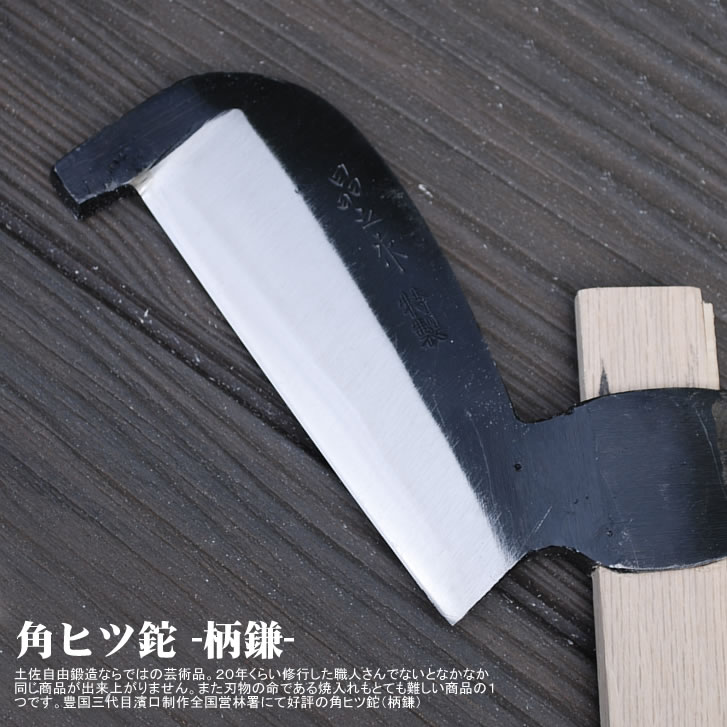 �ѥҥ����������ˡ�ξ�ϡ�